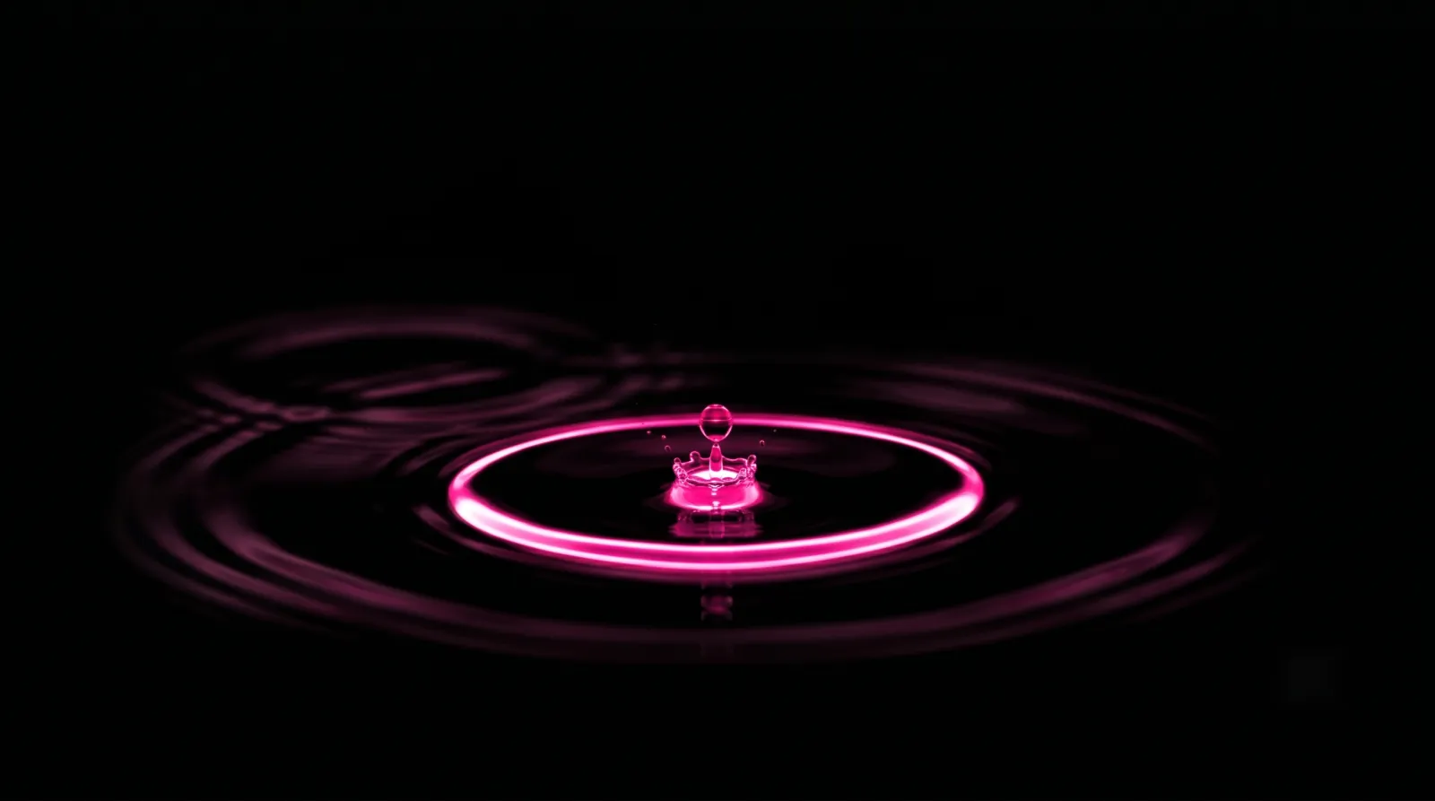 A fresh hot-pink droplet sending out one sharp bright ripple against faded older ripples, the freshness signal in answer engine optimization