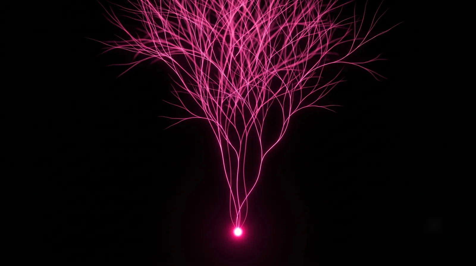 A hot-pink seed of light branching upward and compounding against black, freed capacity reinvested into improvement