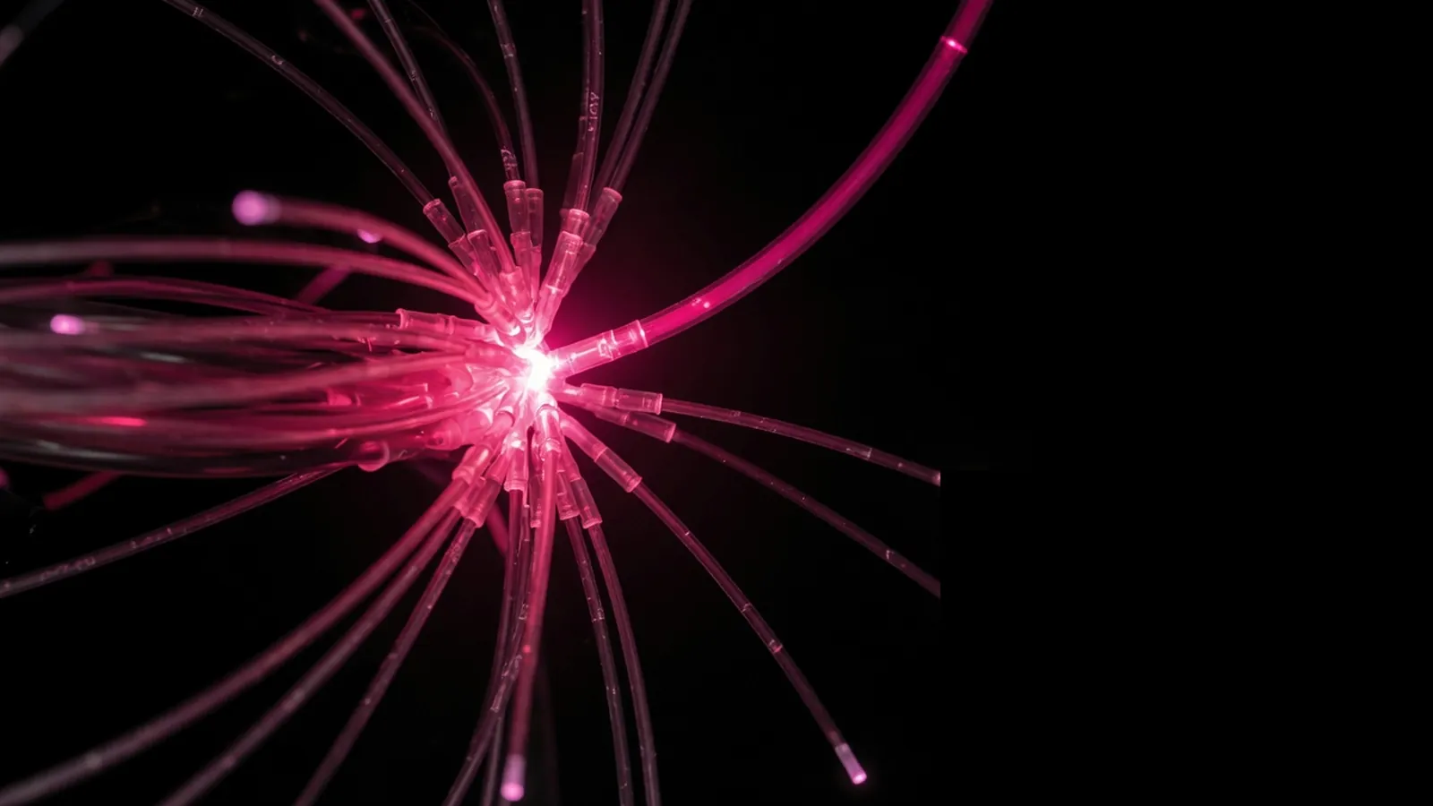 Magenta fiber junction on black, disconnected data versus missing data at the system join
