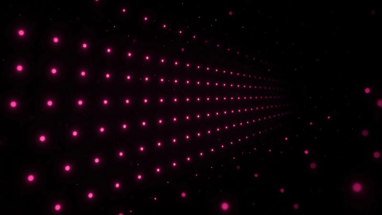 Rows of small glowing hot pink nodes stretching into darkness like a field of bioluminescent organisms, credit monitoring cost scaling with each affected Massachusetts resident