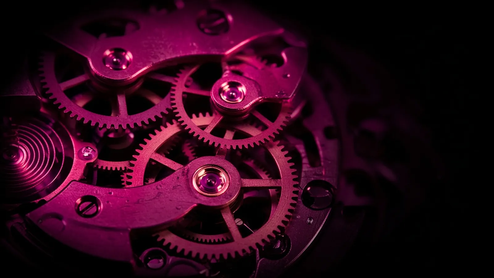 A macro view of a mechanical watch movement with gears edged in hot pink against black, the timing of Massachusetts data breach notification