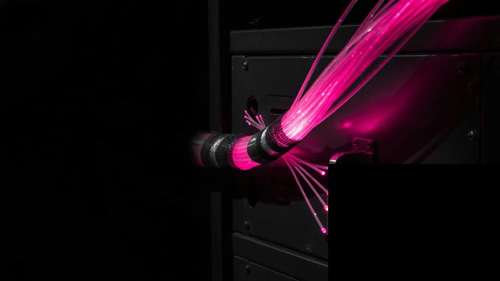 Magenta fiber into a locked cabinet, questions to ask business internet providers about cybersecurity, Amelia S. Gagne