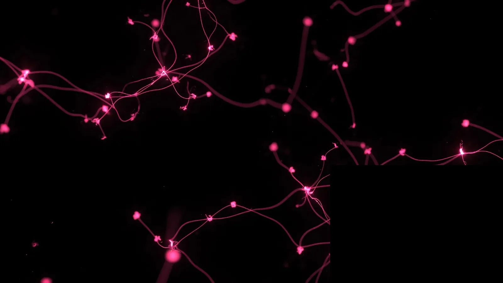 Disconnected magenta nodes with no hub on black, technology stack fragmentation as unowned joins