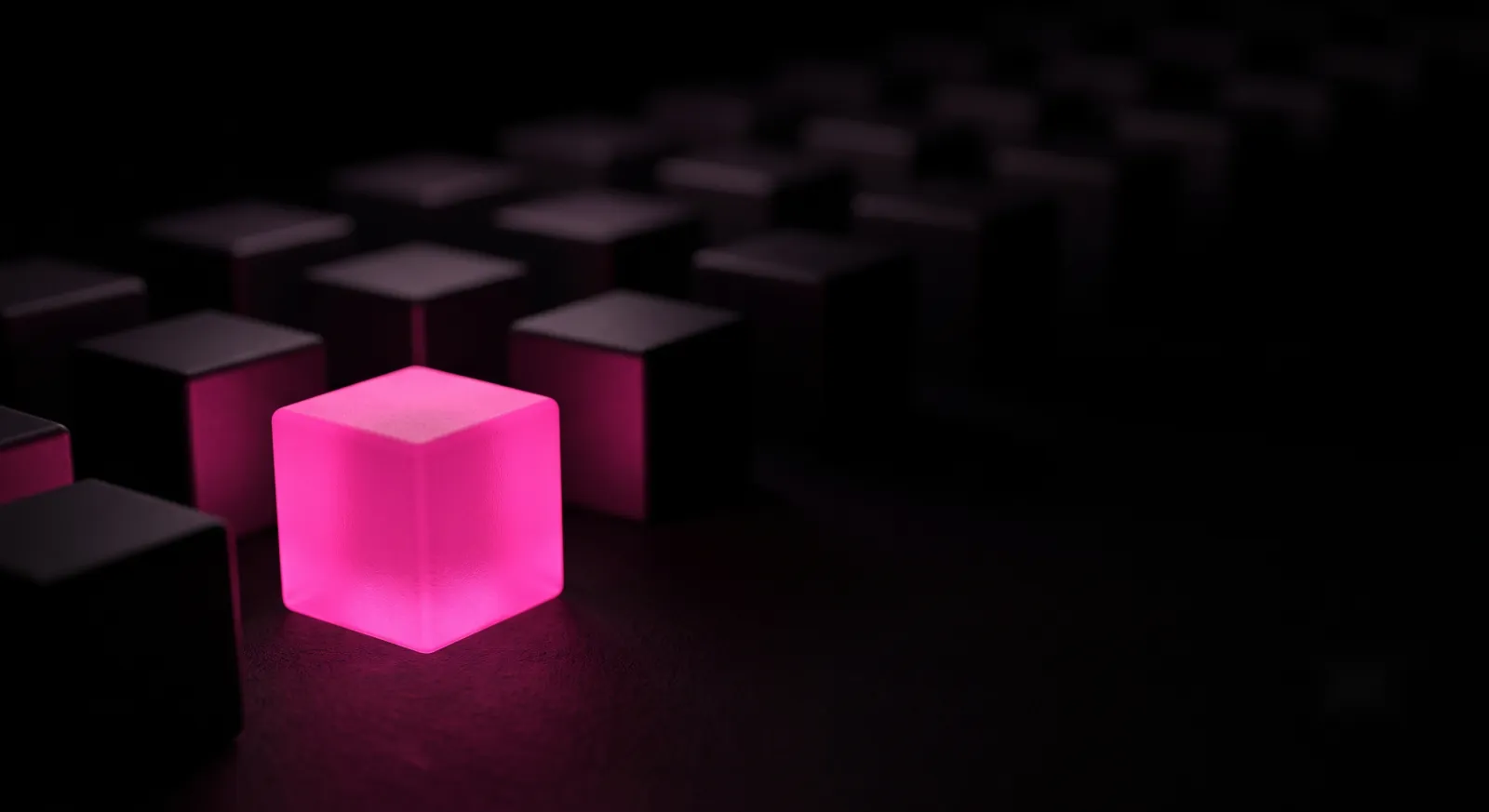 A single illuminated node among many dark ones, representing the vendors a business can actually see