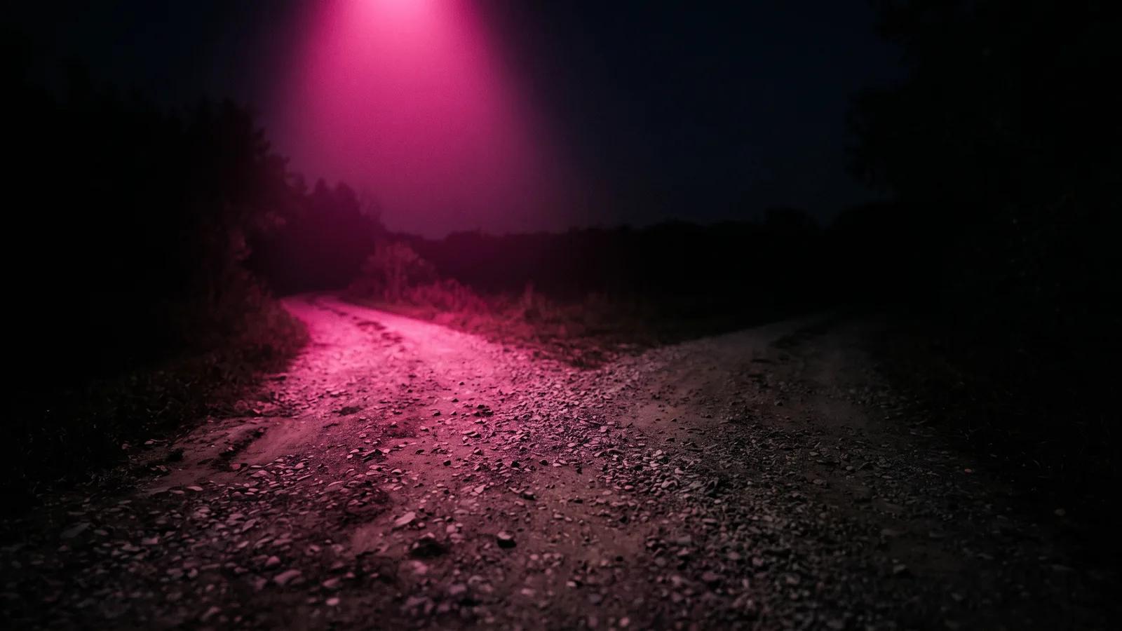 A gravel path splitting into two directions at night with one branch lit hot pink, the choice between checkbox security awareness training and workflow design